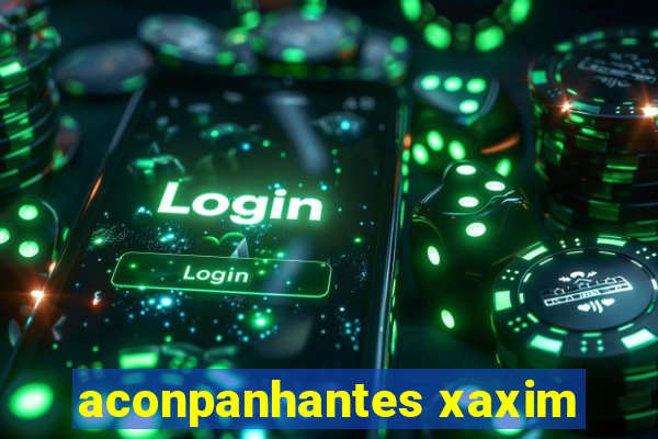 aconpanhantes xaxim